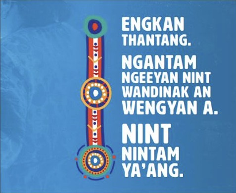 Domestic and family violence campaign banner artwork in language with Aboriginal design motifs