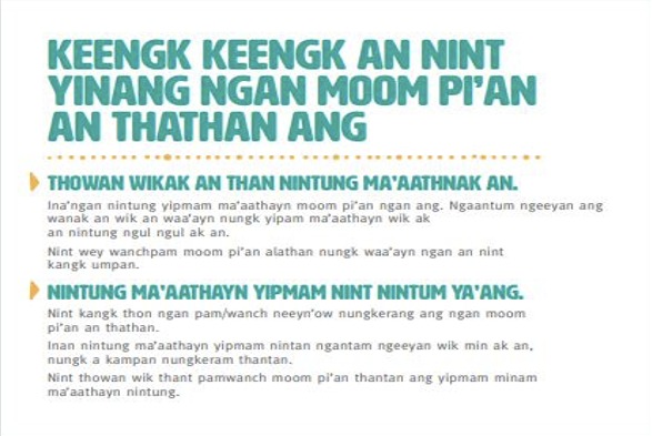 Translated domestic and family violence information resource text panel in language